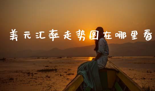 美元汇率走势图在哪里看_https://www.fcdydaikuan.com_恒指期货直播_第1张