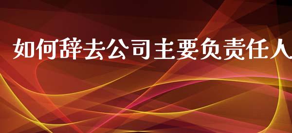 如何辞去公司主要负责任人_https://www.fcdydaikuan.com_恒生指数直播室_第1张