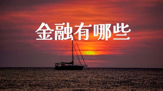 金融有哪些_https://www.fcdydaikuan.com_恒指期货直播_第1张