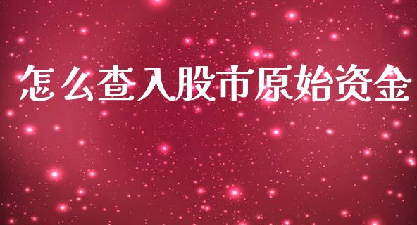 怎么查入股市原始资金_https://www.fcdydaikuan.com_德指期货直播_第1张