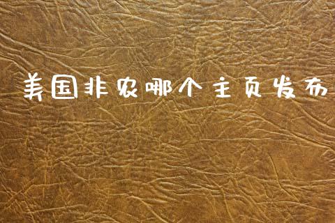 美国非农哪个主页发布_https://www.fcdydaikuan.com_德指期货直播_第1张