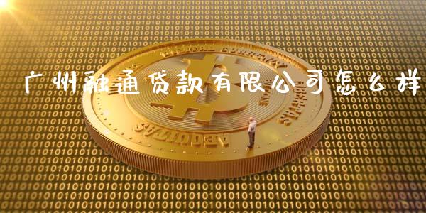广州融通贷款有限公司怎么样_https://www.fcdydaikuan.com_恒生指数直播室_第1张