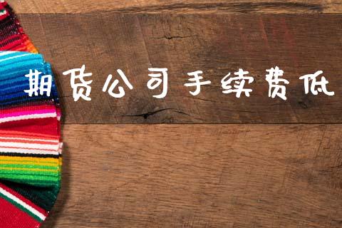期货公司手续费低_https://www.fcdydaikuan.com_黄金期货直播_第1张