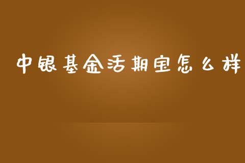 中银基金活期宝怎么样_https://www.fcdydaikuan.com_恒生指数直播室_第1张