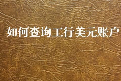 如何查询工行美元账户_https://www.fcdydaikuan.com_恒指期货直播_第1张