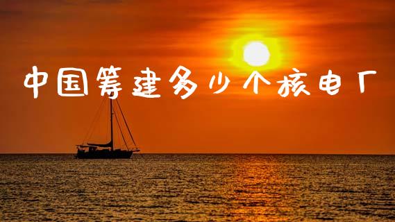 中国筹建多少个核电厂_https://www.fcdydaikuan.com_德指期货直播_第1张