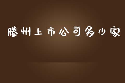 滕州上市公司多少家_https://www.fcdydaikuan.com_恒指期货直播_第1张