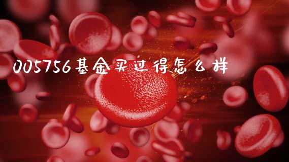 005756基金买过得怎么样_https://www.fcdydaikuan.com_恒指期货直播_第1张