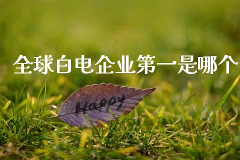全球白电企业第一是哪个_https://www.fcdydaikuan.com_恒指期货直播_第1张