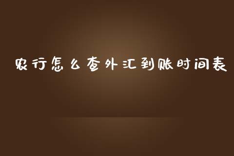 农行怎么查外汇到账时间表_https://www.fcdydaikuan.com_恒生指数直播室_第1张