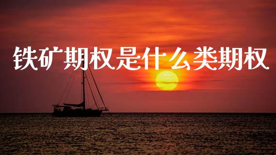 铁矿期权是什么类期权_https://www.fcdydaikuan.com_恒指期货直播_第1张