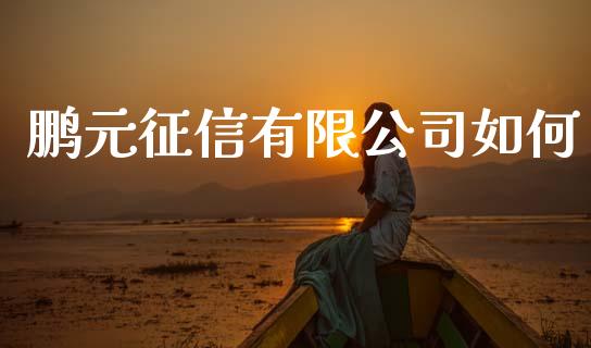 鹏元征信有限公司如何_https://www.fcdydaikuan.com_恒指期货直播_第1张