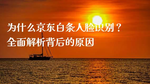 为什么京东白条人脸识别？全面解析背后的原因_https://www.fcdydaikuan.com_恒指期货直播_第1张
