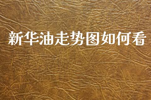 新华油走势图如何看_https://www.fcdydaikuan.com_德指期货直播_第1张