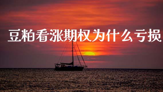 豆粕看涨期权为什么亏损_https://www.fcdydaikuan.com_德指期货直播_第1张