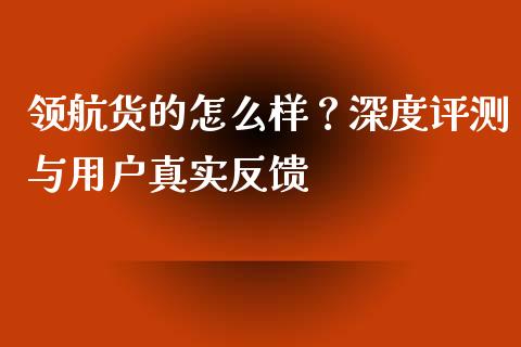 领航货的怎么样？深度评测与用户真实反馈_https://www.fcdydaikuan.com_德指期货直播_第1张