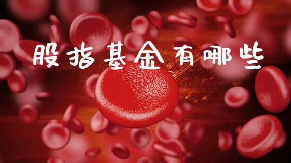 股指基金有哪些_https://www.fcdydaikuan.com_恒生指数直播室_第1张