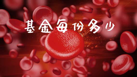 基金每份多少_https://www.fcdydaikuan.com_德指期货直播_第1张