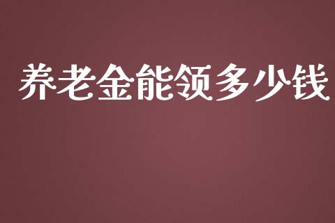 养老金能领多少钱_https://www.fcdydaikuan.com_德指期货直播_第1张