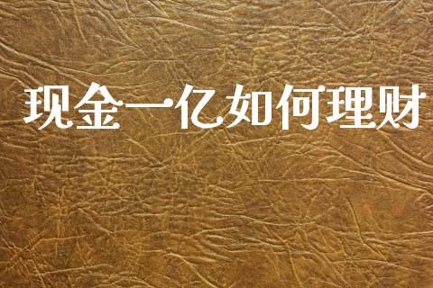 现金一亿如何理财_https://www.fcdydaikuan.com_德指期货直播_第1张