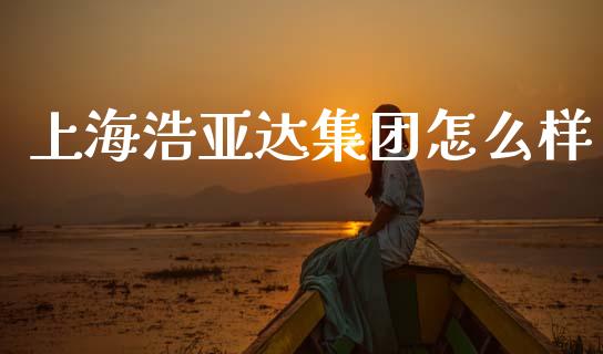 上海浩亚达集团怎么样_https://www.fcdydaikuan.com_德指期货直播_第1张