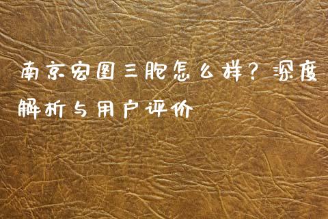 南京宏图三胞怎么样？深度解析与用户评价_https://www.fcdydaikuan.com_恒指期货直播_第1张