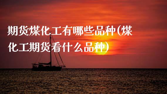 期货煤化工有哪些品种(煤化工期货看什么品种)_https://www.fcdydaikuan.com_黄金期货直播_第1张