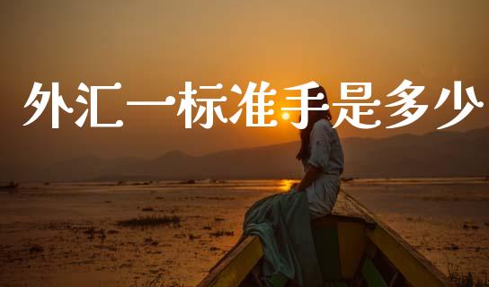 外汇一标准手是多少_https://www.fcdydaikuan.com_恒生指数直播室_第1张