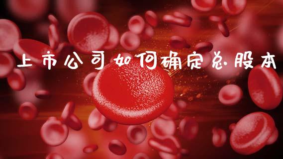 上市公司如何确定总股本_https://www.fcdydaikuan.com_恒生指数直播室_第1张