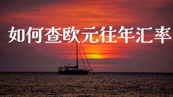 如何查欧元往年汇率_https://www.fcdydaikuan.com_德指期货直播_第1张