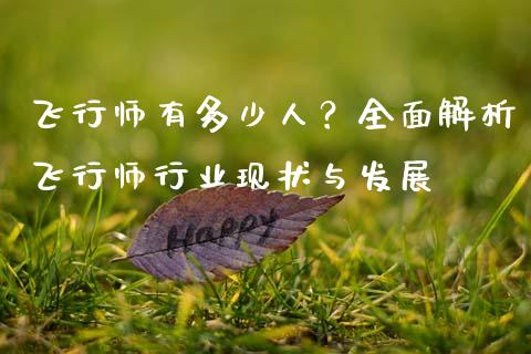 飞行师有多少人？全面解析飞行师行业现状与发展_https://www.fcdydaikuan.com_恒指期货直播_第1张