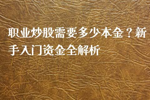 职业炒股需要多少本金？新手入门资金全解析_https://www.fcdydaikuan.com_德指期货直播_第1张