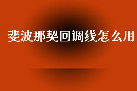斐波那契回调线怎么用_https://www.fcdydaikuan.com_恒生指数直播室_第1张