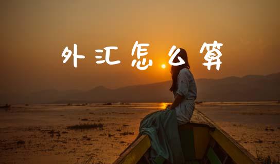 外汇怎么算_https://www.fcdydaikuan.com_黄金期货直播_第1张