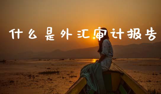 什么是外汇审计报告_https://www.fcdydaikuan.com_黄金期货直播_第1张