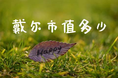 戴尔市值多少_https://www.fcdydaikuan.com_黄金期货直播_第1张