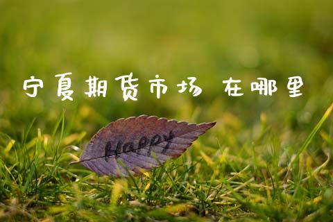 宁夏期货市场 在哪里_https://www.fcdydaikuan.com_黄金期货直播_第1张