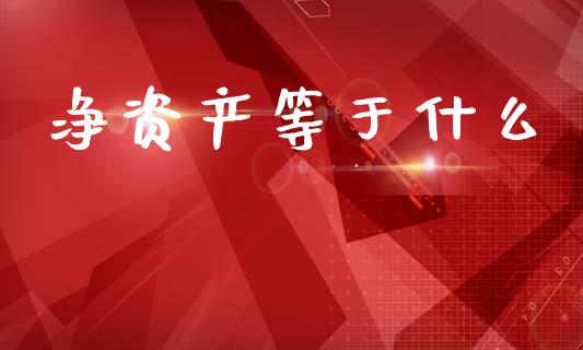净资产等于什么_https://www.fcdydaikuan.com_恒指期货直播_第1张