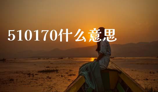 510170什么意思_https://www.fcdydaikuan.com_德指期货直播_第1张