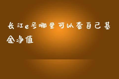 长江e号哪里可以查自己基金净值_https://www.fcdydaikuan.com_恒生指数直播室_第1张