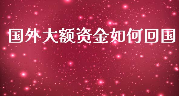 国外大额资金如何回国_https://www.fcdydaikuan.com_德指期货直播_第1张