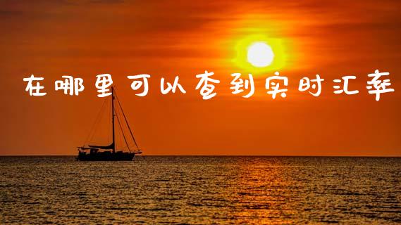 在哪里可以查到实时汇率_https://www.fcdydaikuan.com_德指期货直播_第1张