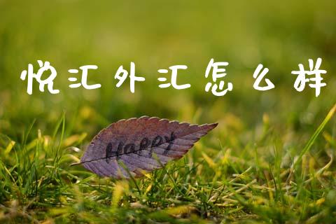 悦汇外汇怎么样_https://www.fcdydaikuan.com_恒指期货直播_第1张