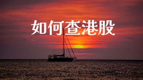 如何查港股_https://www.fcdydaikuan.com_德指期货直播_第1张
