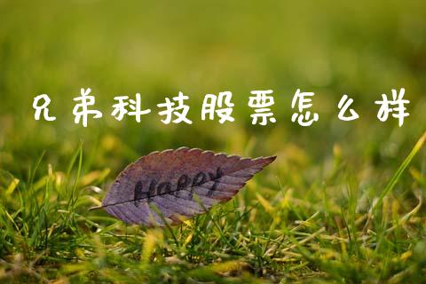 兄弟科技股票怎么样_https://www.fcdydaikuan.com_恒指期货直播_第1张