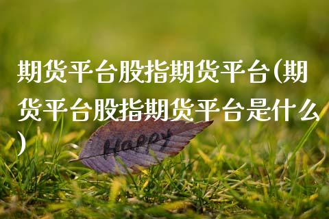 期货平台股指期货平台(期货平台股指期货平台是什么)_https://www.fcdydaikuan.com_德指期货直播_第1张