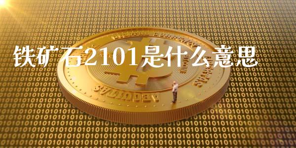 铁矿石2101是什么意思_https://www.fcdydaikuan.com_黄金期货直播_第1张