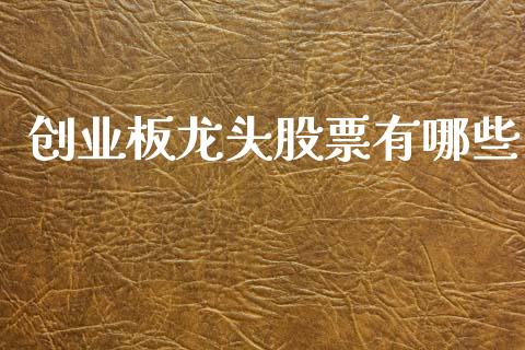 创业板龙头股票有哪些_https://www.fcdydaikuan.com_恒生指数直播室_第1张