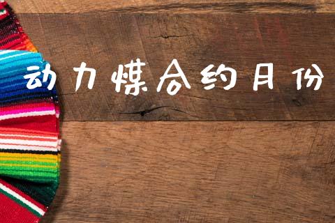 动力煤合约月份_https://www.fcdydaikuan.com_恒指期货直播_第1张