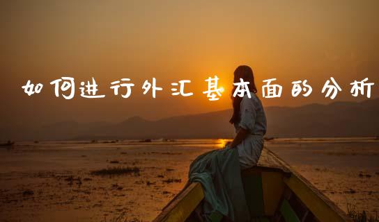 如何进行外汇基本面的分析_https://www.fcdydaikuan.com_恒指期货直播_第1张